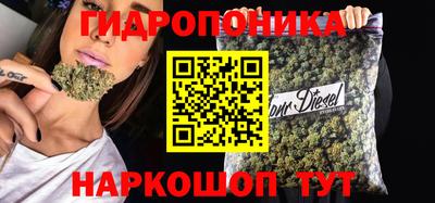 стафф Обь