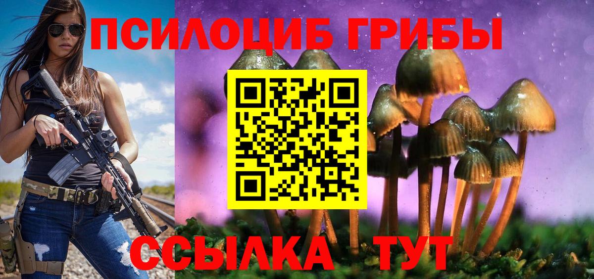 Псилоцибиновые грибы Psilocybine cubensis Тобольск