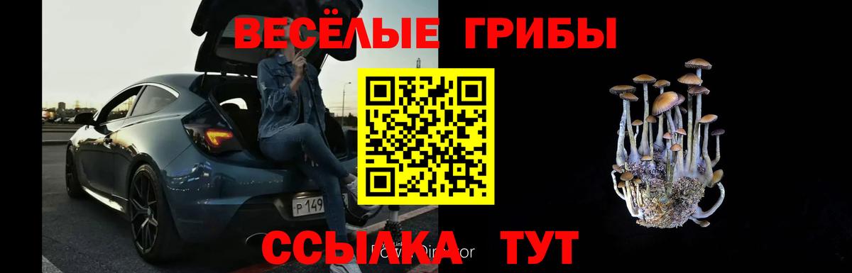 Псилоцибиновые грибы Psilocybe  где продают   Тобольск  Вход с VPN 